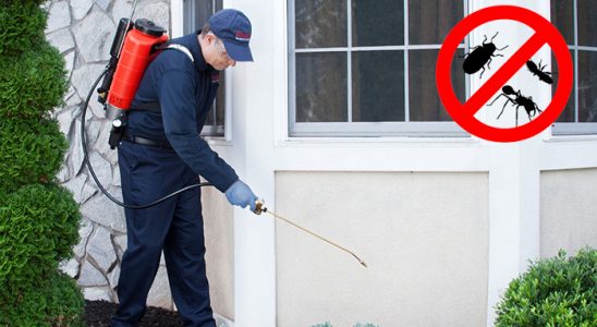 Evka 2 Hamam Böceği İlaçlama böcek ilaçlama ve haşere kontrolü — ilaclama-tr.com